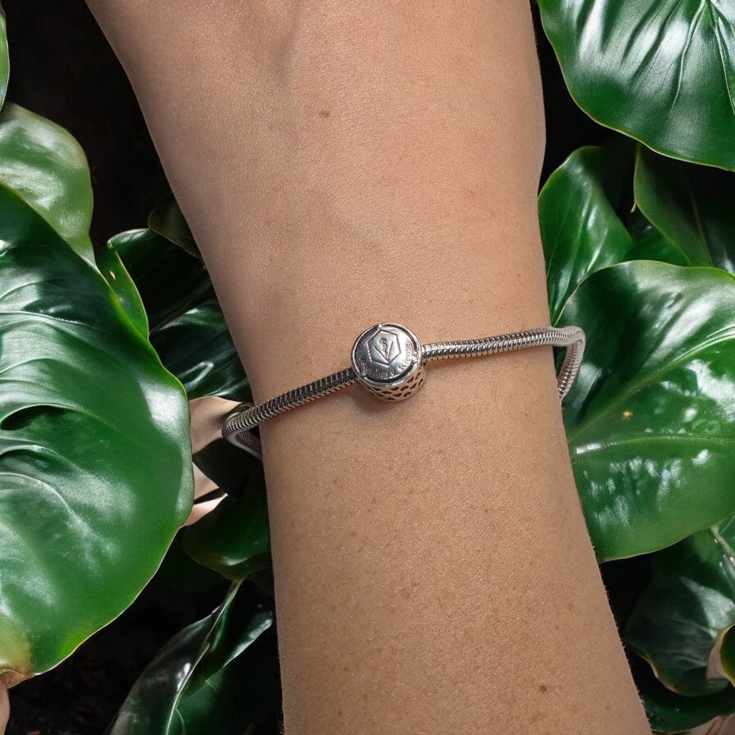 Charms WETERYNARZ srebro 925 symbol