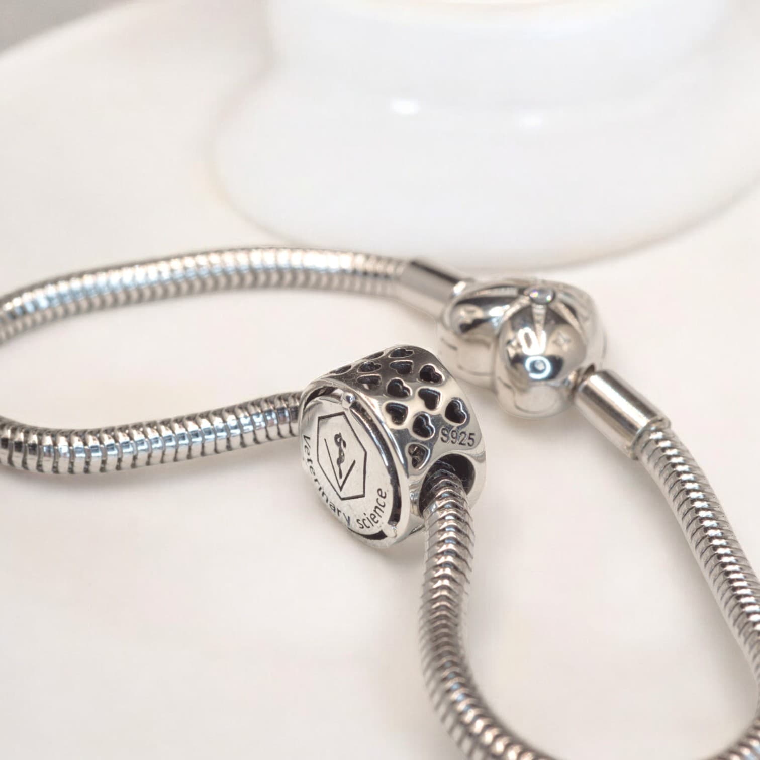 Charms WETERYNARZ srebro 925 symbol