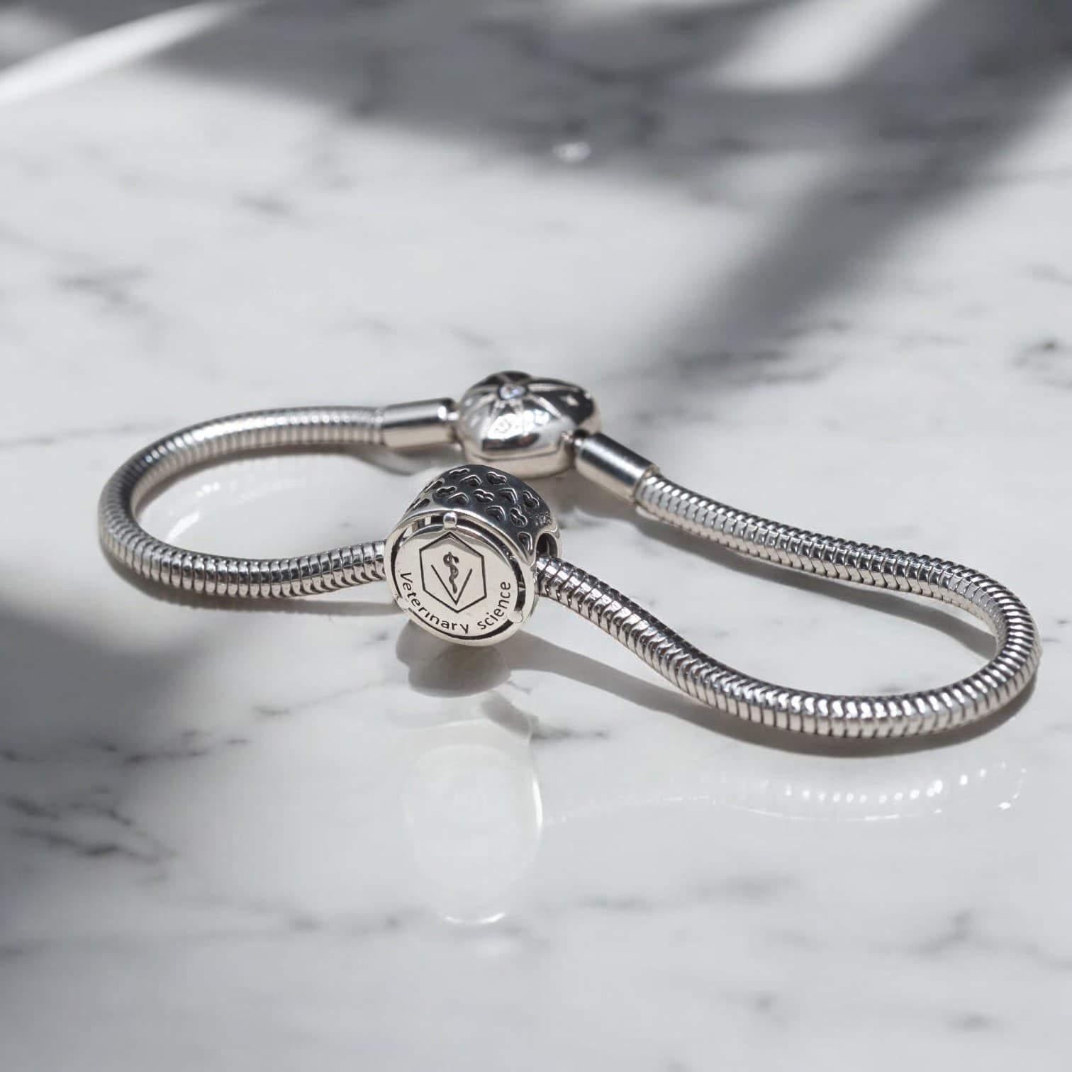 Charms WETERYNARZ srebro 925 symbol