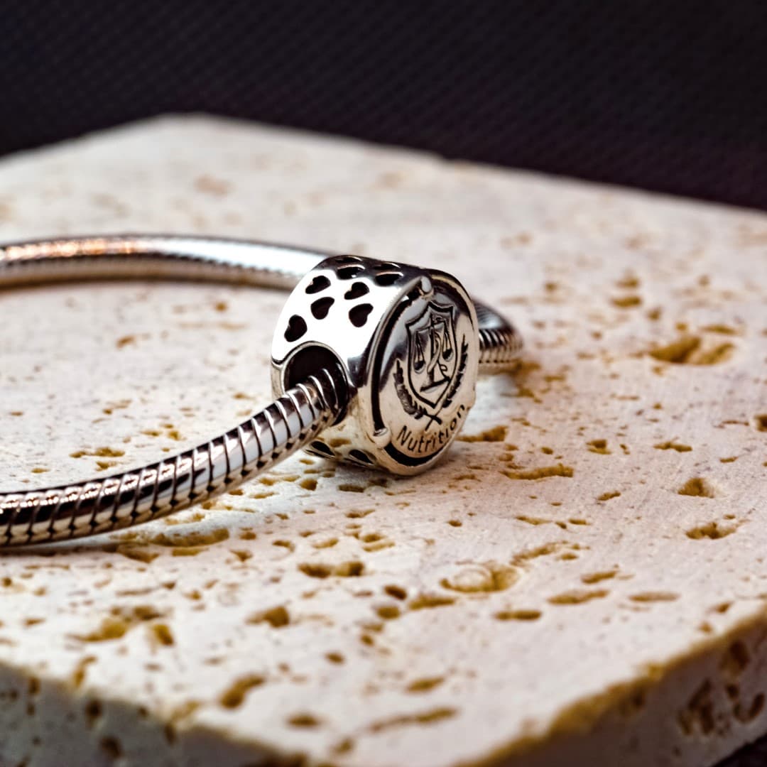 Charms do Pandora Dietetyk Srebro 925 żywieniowiec