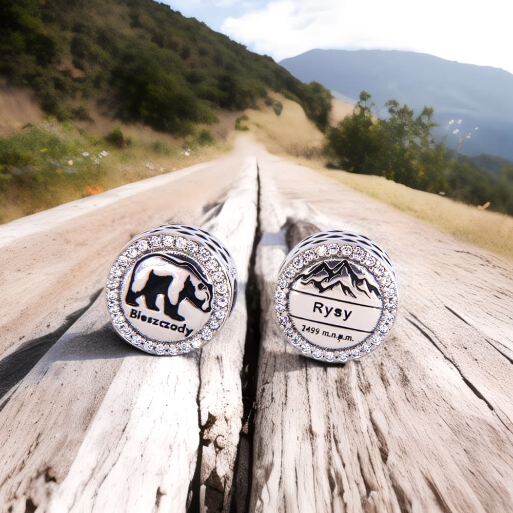 Charms Bieszczady Srebro 925 – Symbol Dzikiej Przyrody i Wolności niedźwiedź