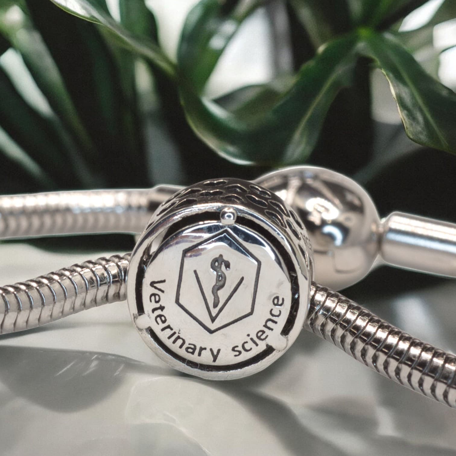 Charms WETERYNARZ srebro 925 symbol