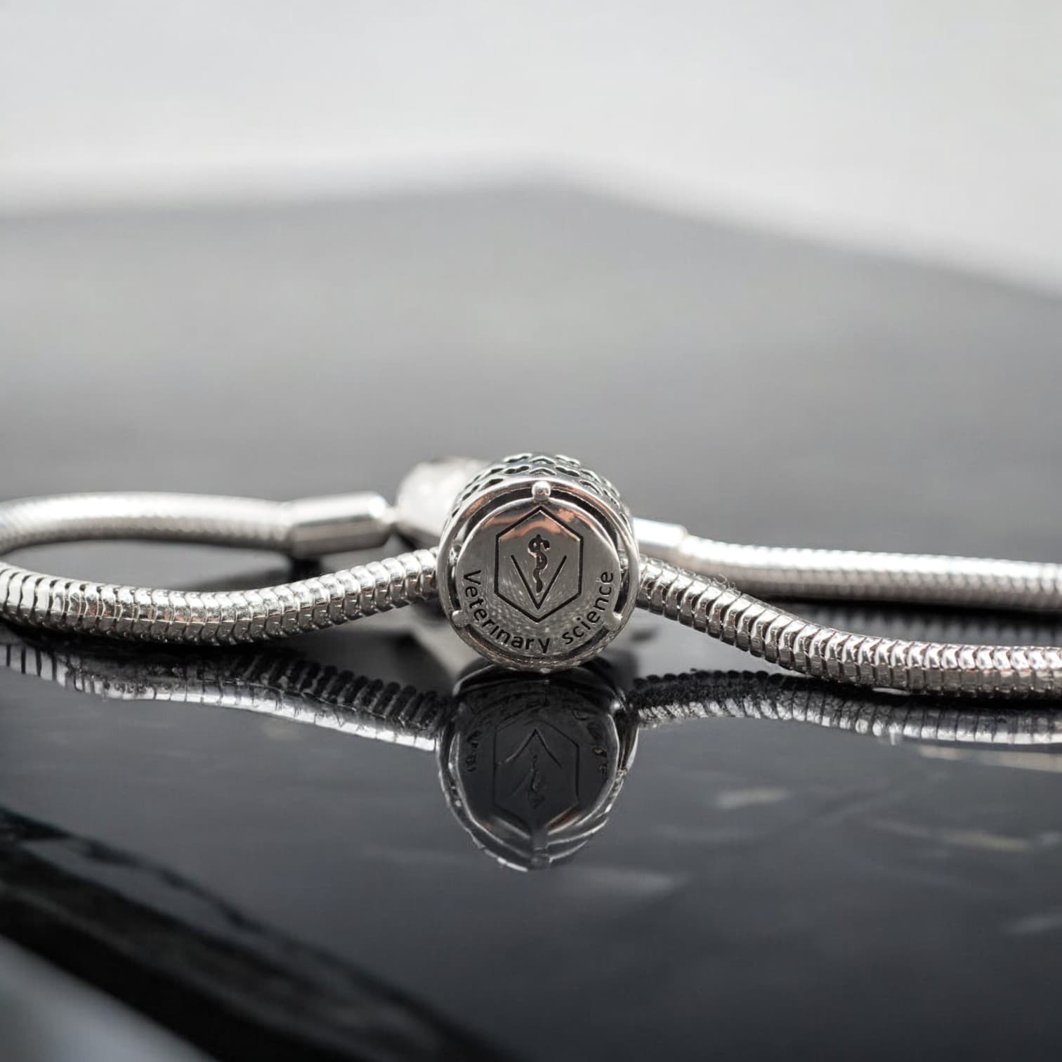 Charms WETERYNARZ srebro 925 symbol