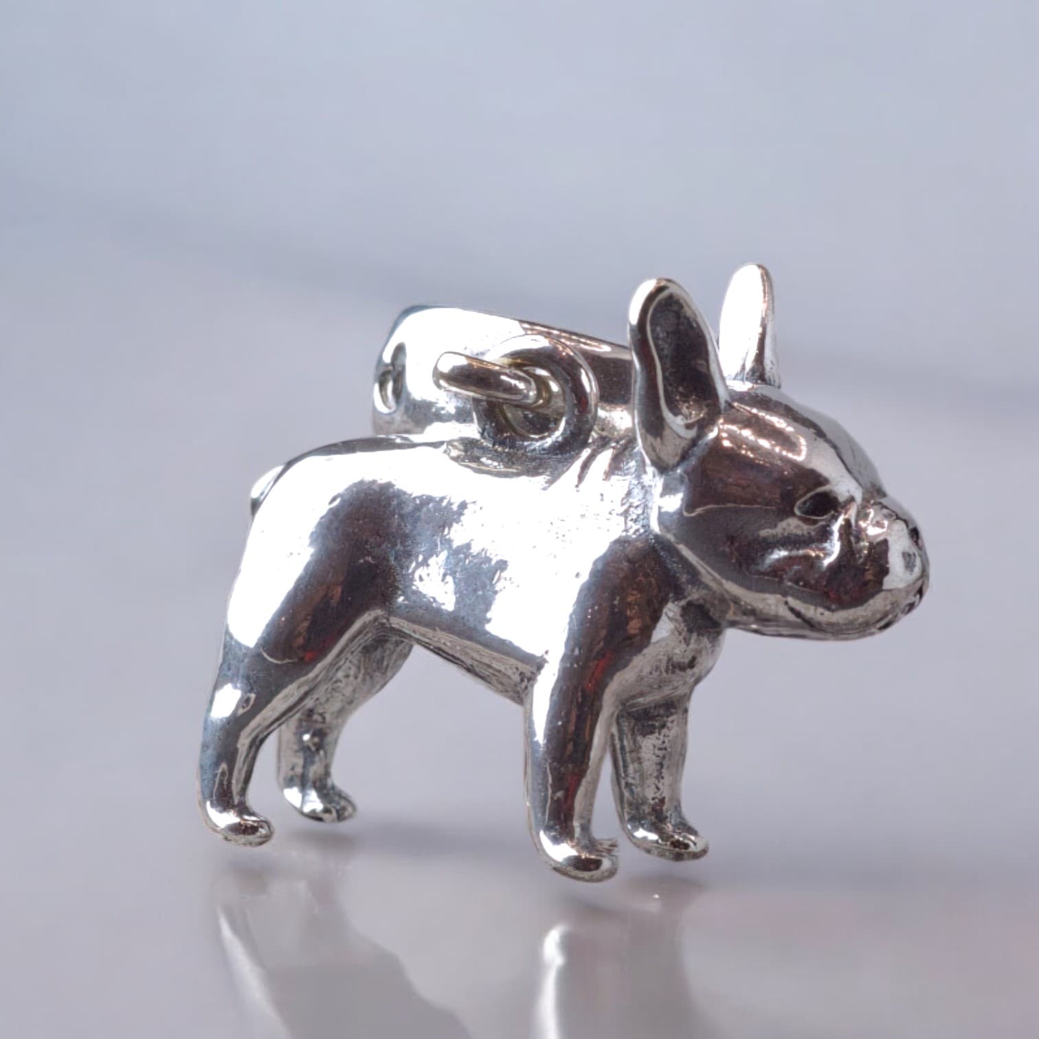 Charms PITBULL srebro 925 pies pupil