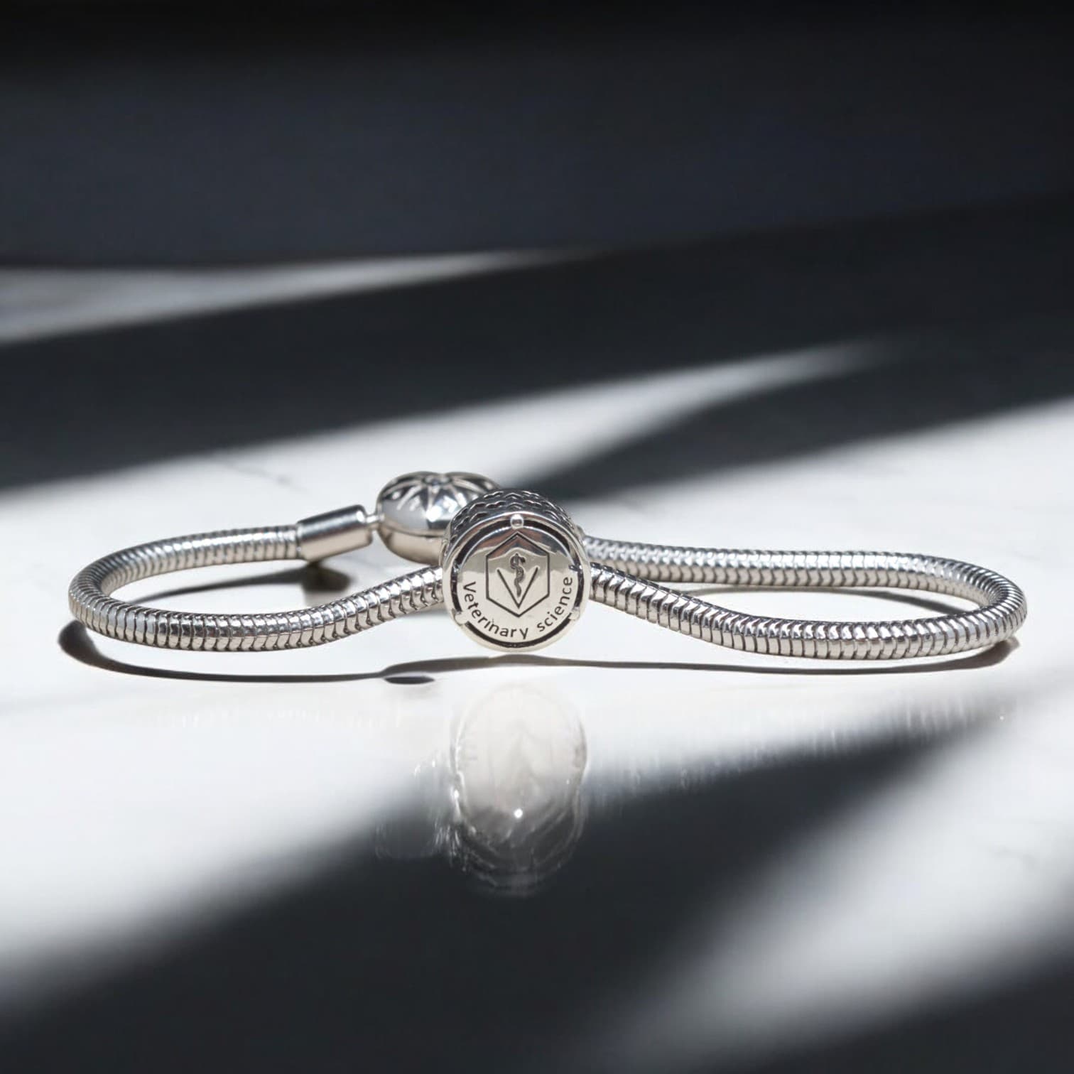 Charms WETERYNARZ srebro 925 symbol