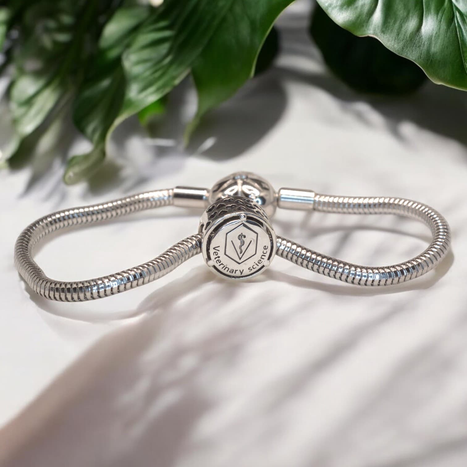 Charms WETERYNARZ srebro 925 symbol