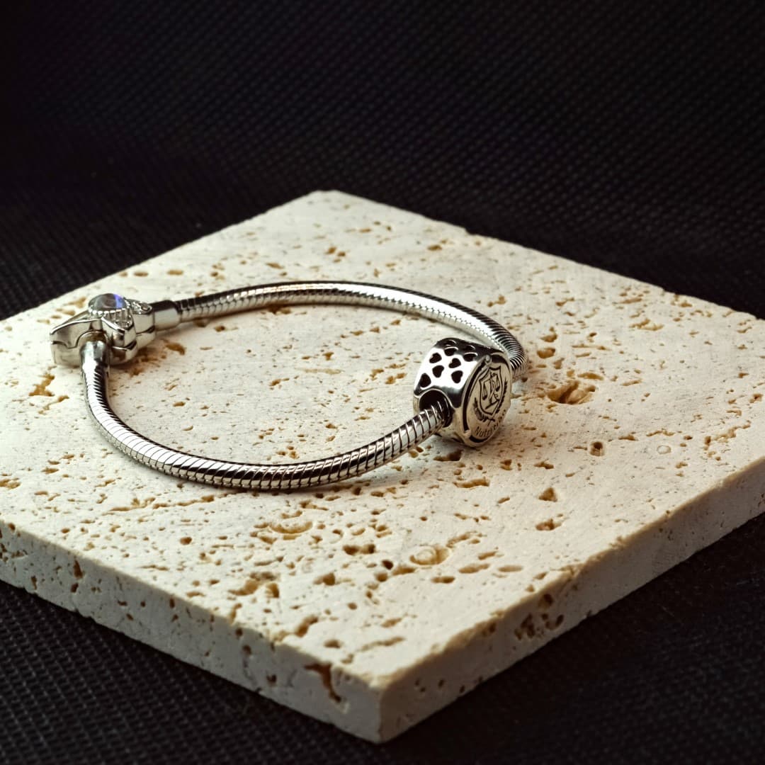 Charms do Pandora Dietetyk Srebro 925 żywieniowiec