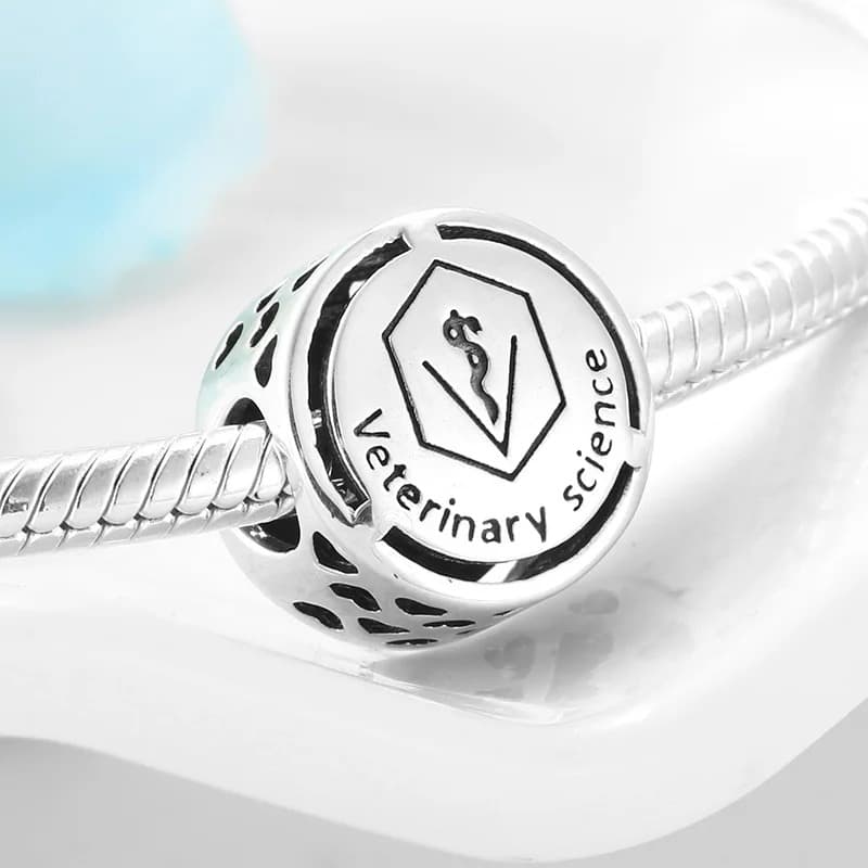 Charms WETERYNARZ srebro 925 symbol