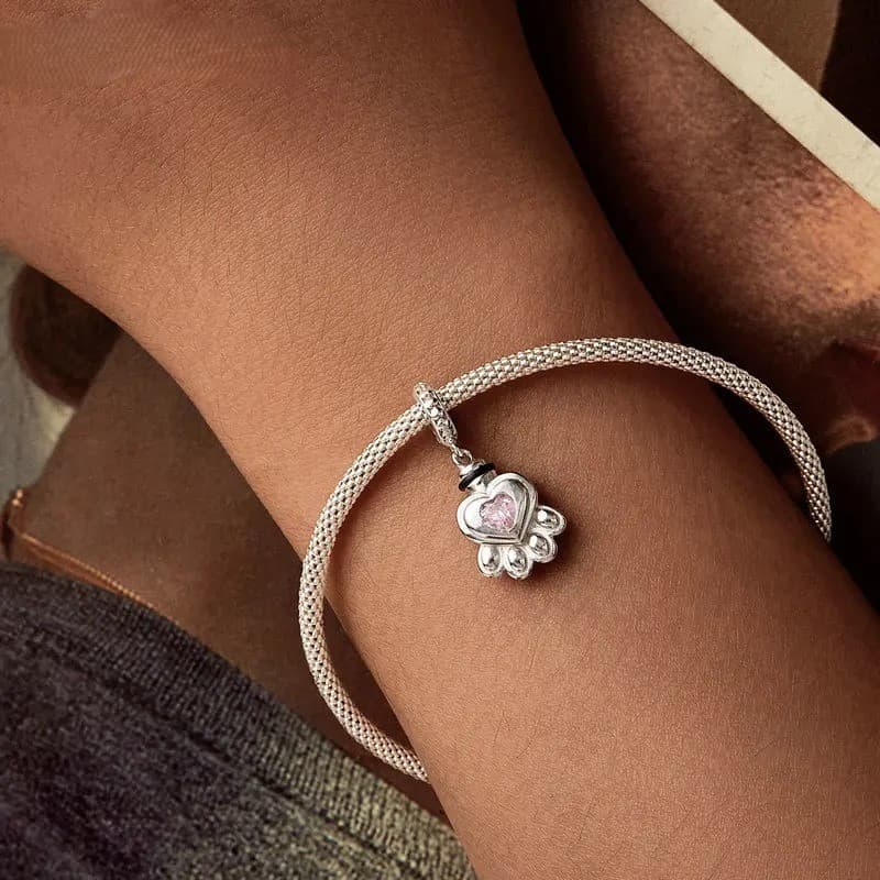 Charms Urna Pamiątkowa srebro  925, urna pamiątkowa dla zwierząt domowych