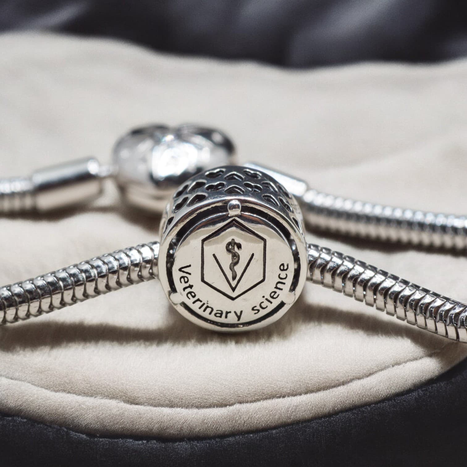 Charms WETERYNARZ srebro 925 symbol