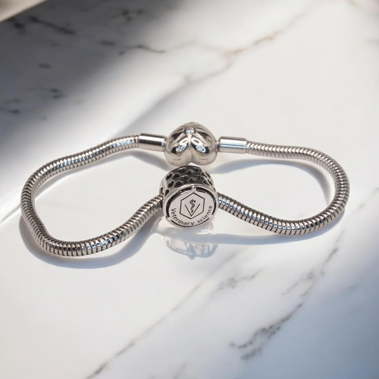 Charms WETERYNARZ srebro 925 symbol